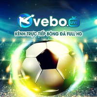 vebozbycc